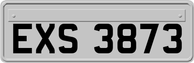 EXS3873