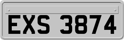 EXS3874