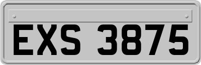 EXS3875