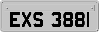 EXS3881