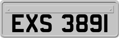EXS3891