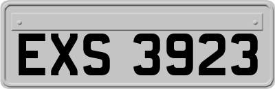 EXS3923