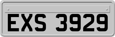 EXS3929