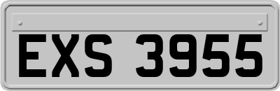 EXS3955