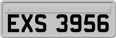 EXS3956
