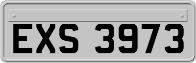 EXS3973