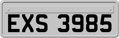 EXS3985