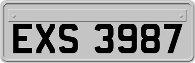 EXS3987
