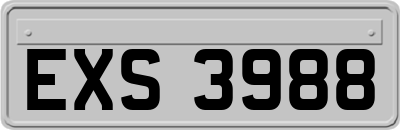 EXS3988