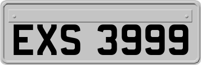 EXS3999
