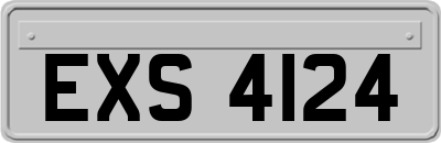 EXS4124