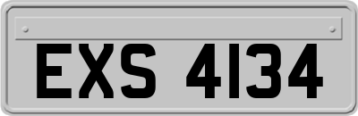 EXS4134