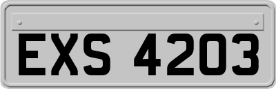 EXS4203