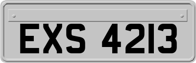 EXS4213