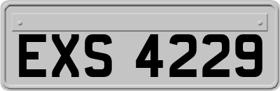 EXS4229
