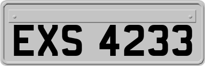 EXS4233