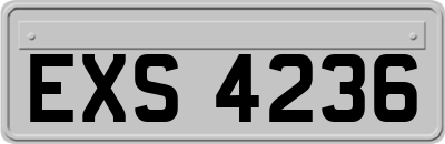 EXS4236