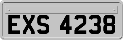 EXS4238