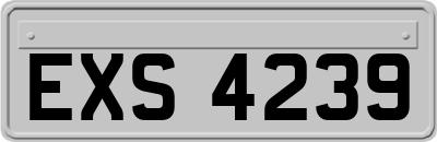 EXS4239