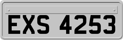 EXS4253