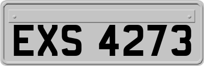 EXS4273