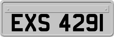 EXS4291