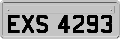 EXS4293