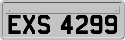 EXS4299