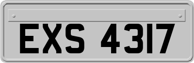 EXS4317