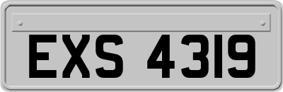 EXS4319