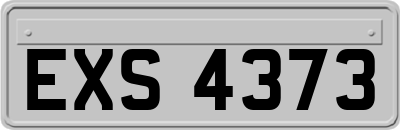 EXS4373