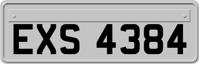 EXS4384