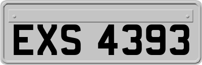 EXS4393