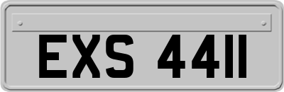 EXS4411