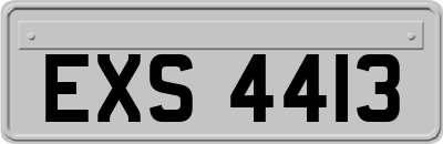 EXS4413