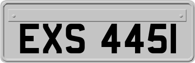 EXS4451