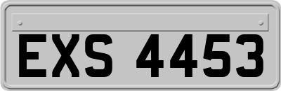 EXS4453