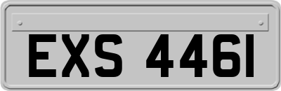 EXS4461