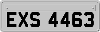 EXS4463