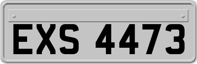 EXS4473