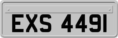 EXS4491