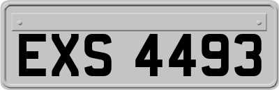 EXS4493
