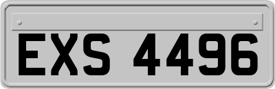 EXS4496