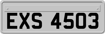 EXS4503