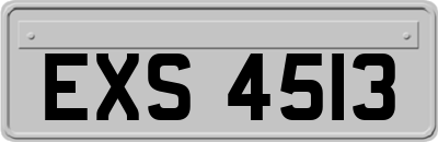 EXS4513