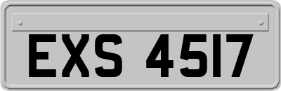 EXS4517