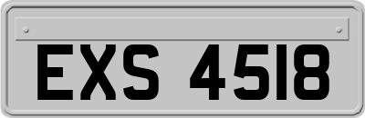 EXS4518