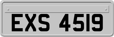 EXS4519