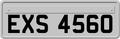 EXS4560
