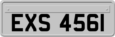 EXS4561